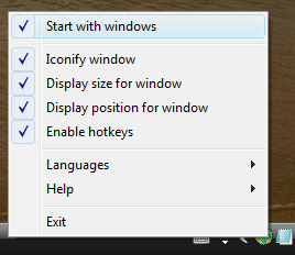 Wsizer Main Interface